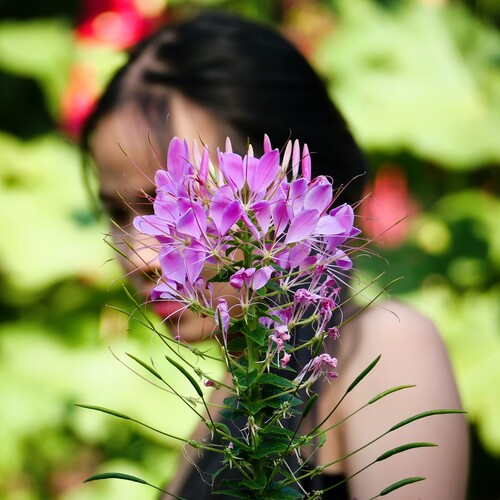 Photo #13831598