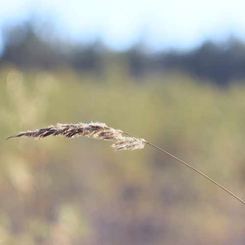 Photo #13831644