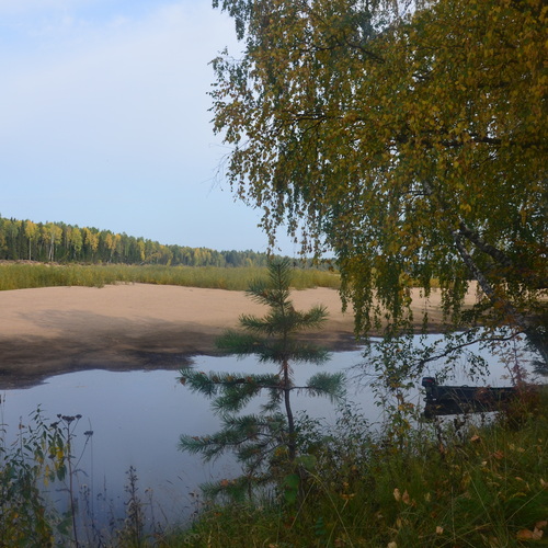Photo #13831697