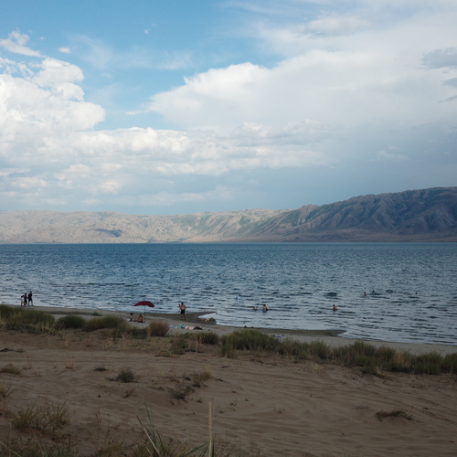 Photo #13831698