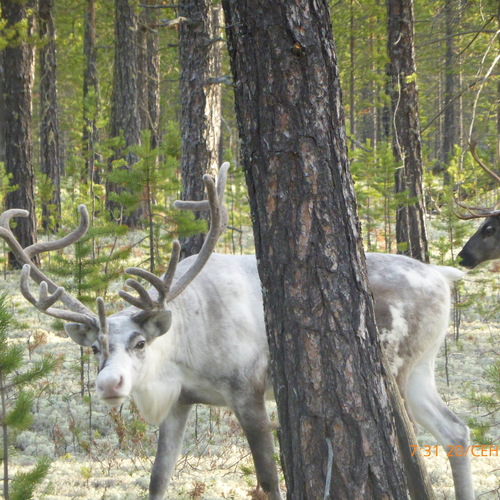Photo #13831731