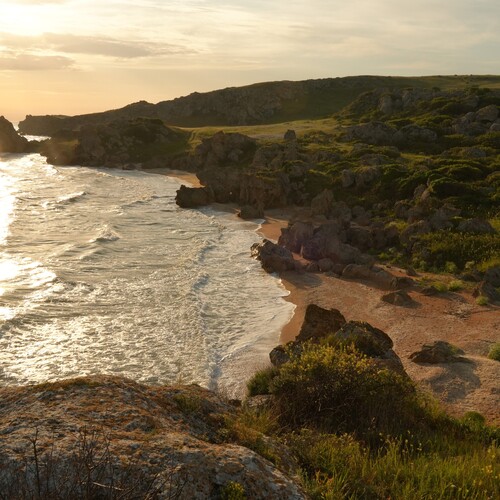 Photo #13831855