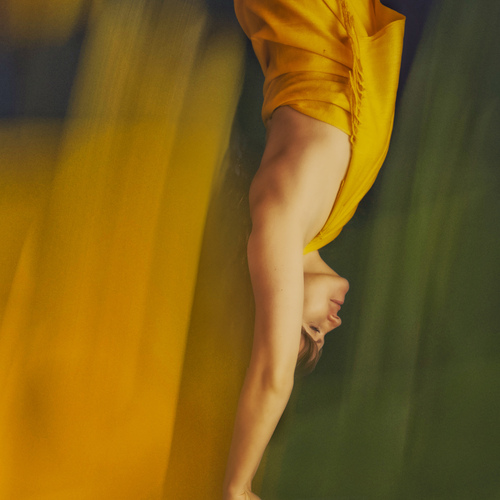 Photo #13831935