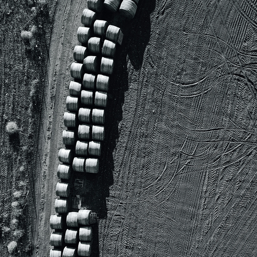 Photo #13832049