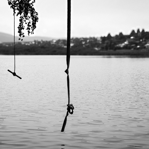 Photo #13832066