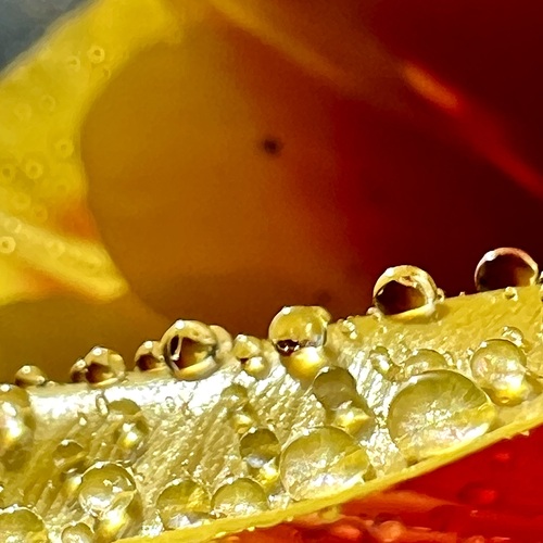 Photo #13832234