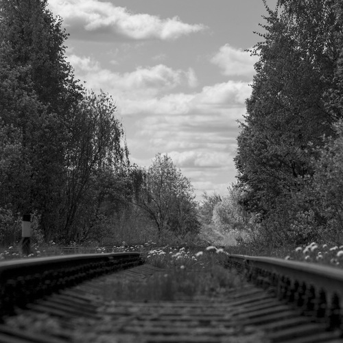 Photo #13832276
