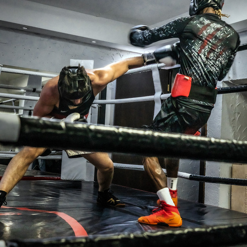 Photo #13832292