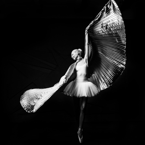Photo #13832325