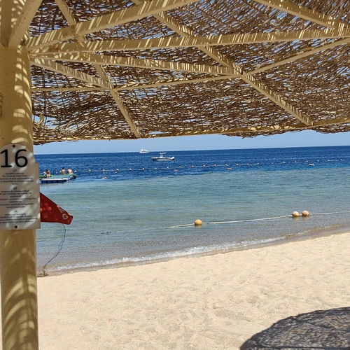 Photo #13832347