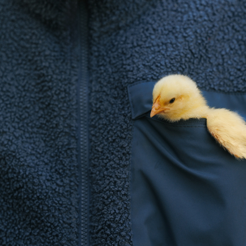 Photo #13832470