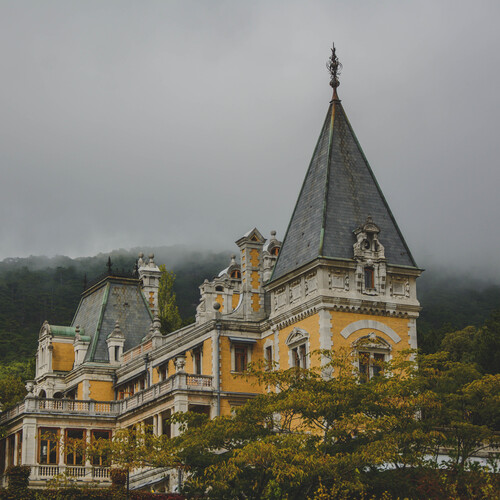 Photo #13832510