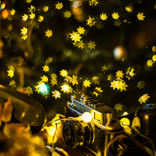 Photo #13832569