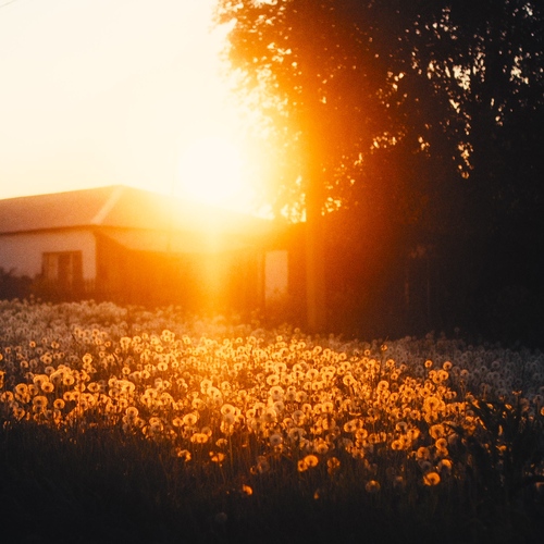 Photo #13832764