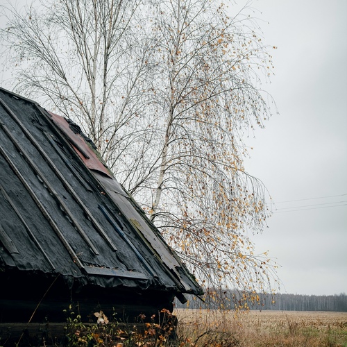 Photo #13832890