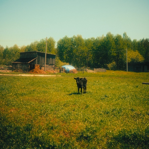 Photo #13832981