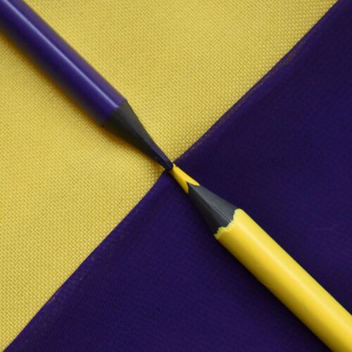 Photo #13833040