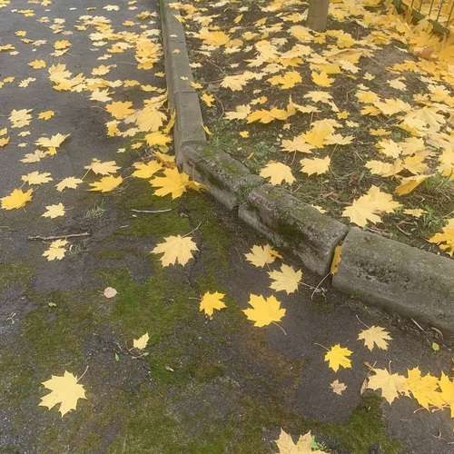 Photo #13833088