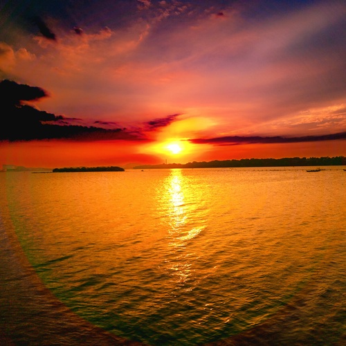 Photo #13833094