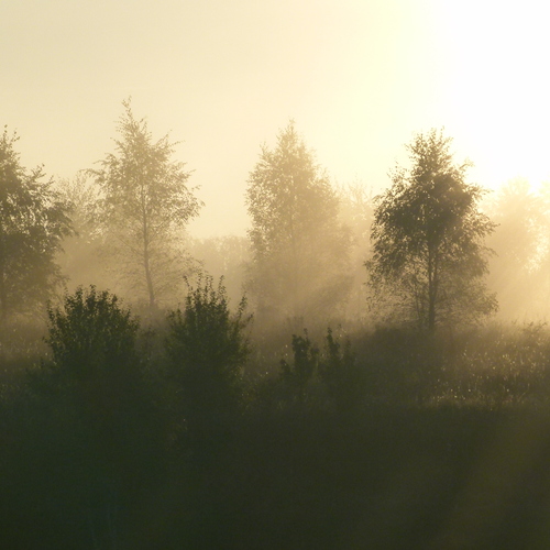Photo #13833159