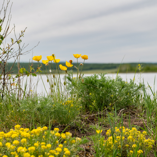 Photo #13833170