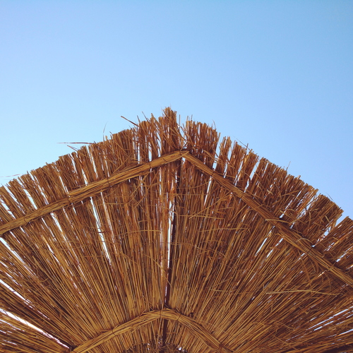 Photo #13833172