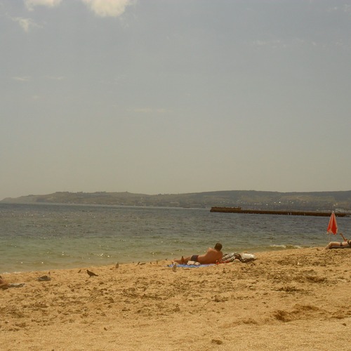 Photo #13833181