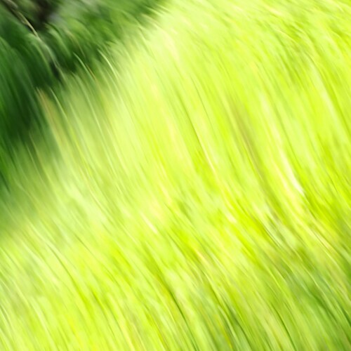 Photo #13833187