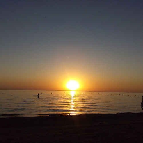 Photo #13833194
