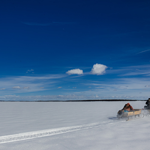 Photo #13833268