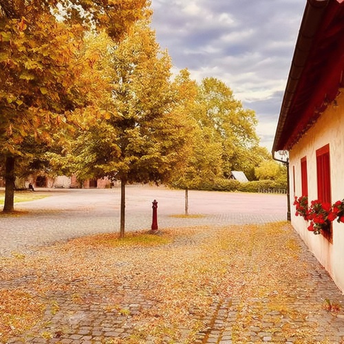 Autumn Courtyard