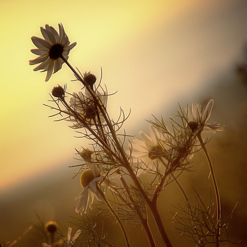 Photo #13833403