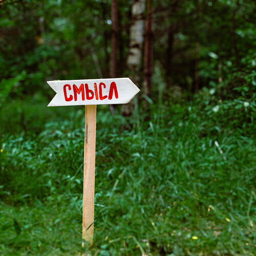 Photo #13833407