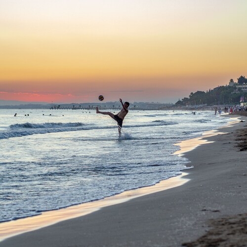 Photo #13833426