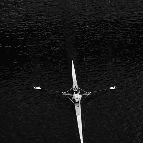 Photo #13833440
