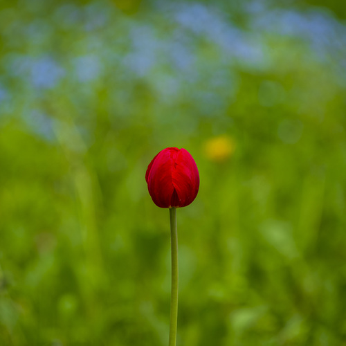 Photo #13833475