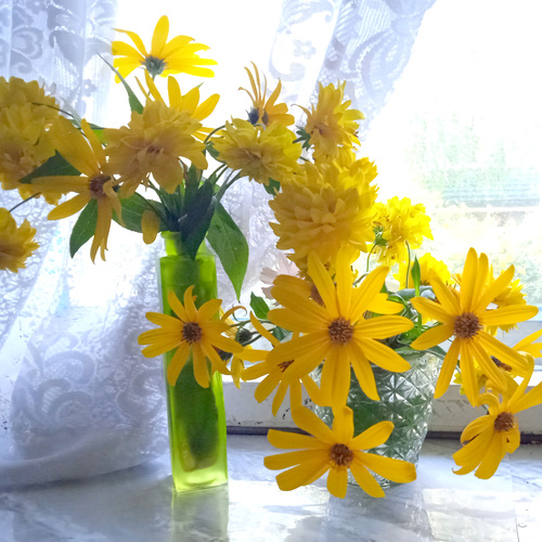 Photo #13833521