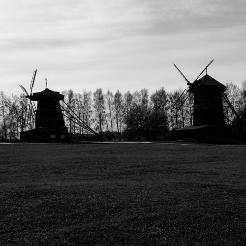 Photo #13833554