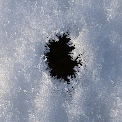 Photo #13833604