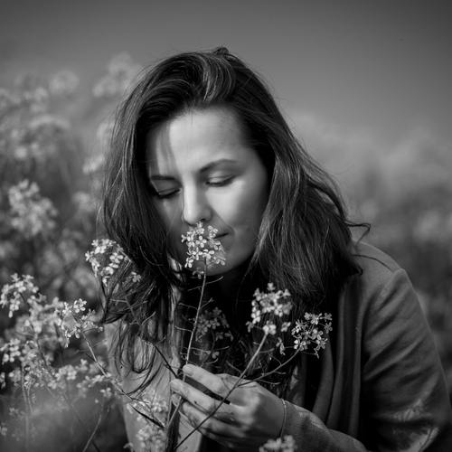 Фотография #13833634