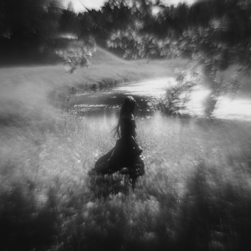 Photo #13833642