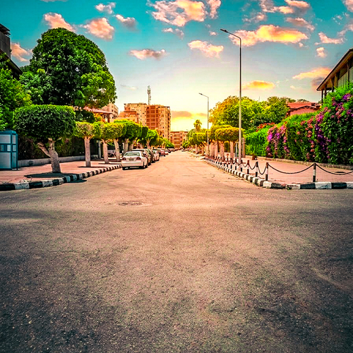 Golden Hour Avenue