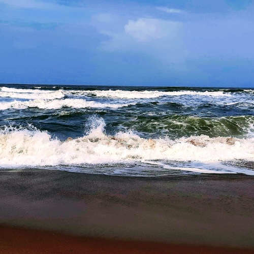Photo #13833674