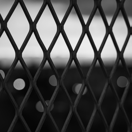 Photo #13833703