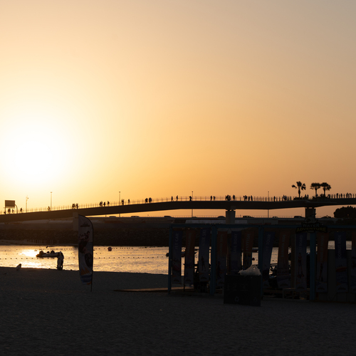 Photo #13833739