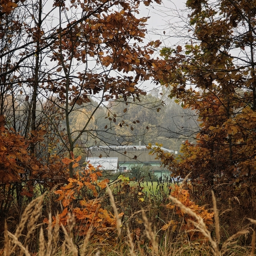 Photo #13833866