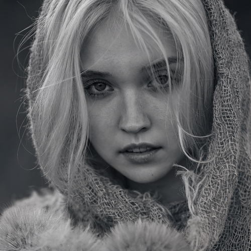 Photo #13834010