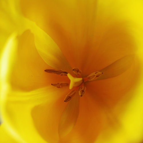 Photo #13834103