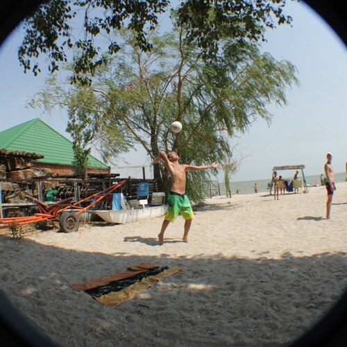 Photo #13834136