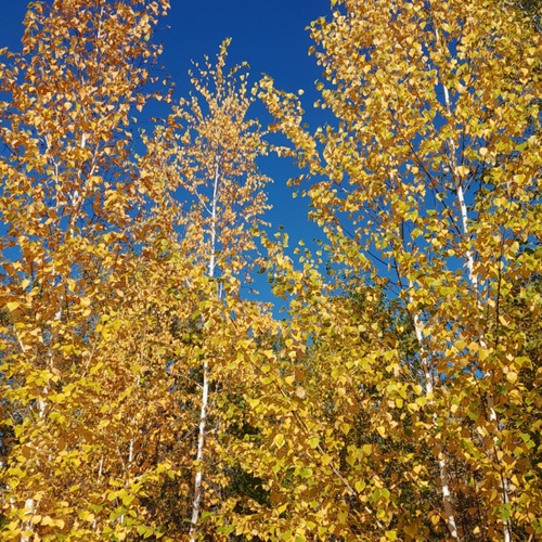 Photo #13834142